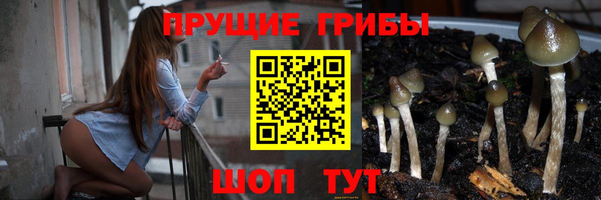 Псилоцибиновые грибы прущие грибы  Вход с VPN  Дивногорск  Псилоцибиновые грибы ЛСД 